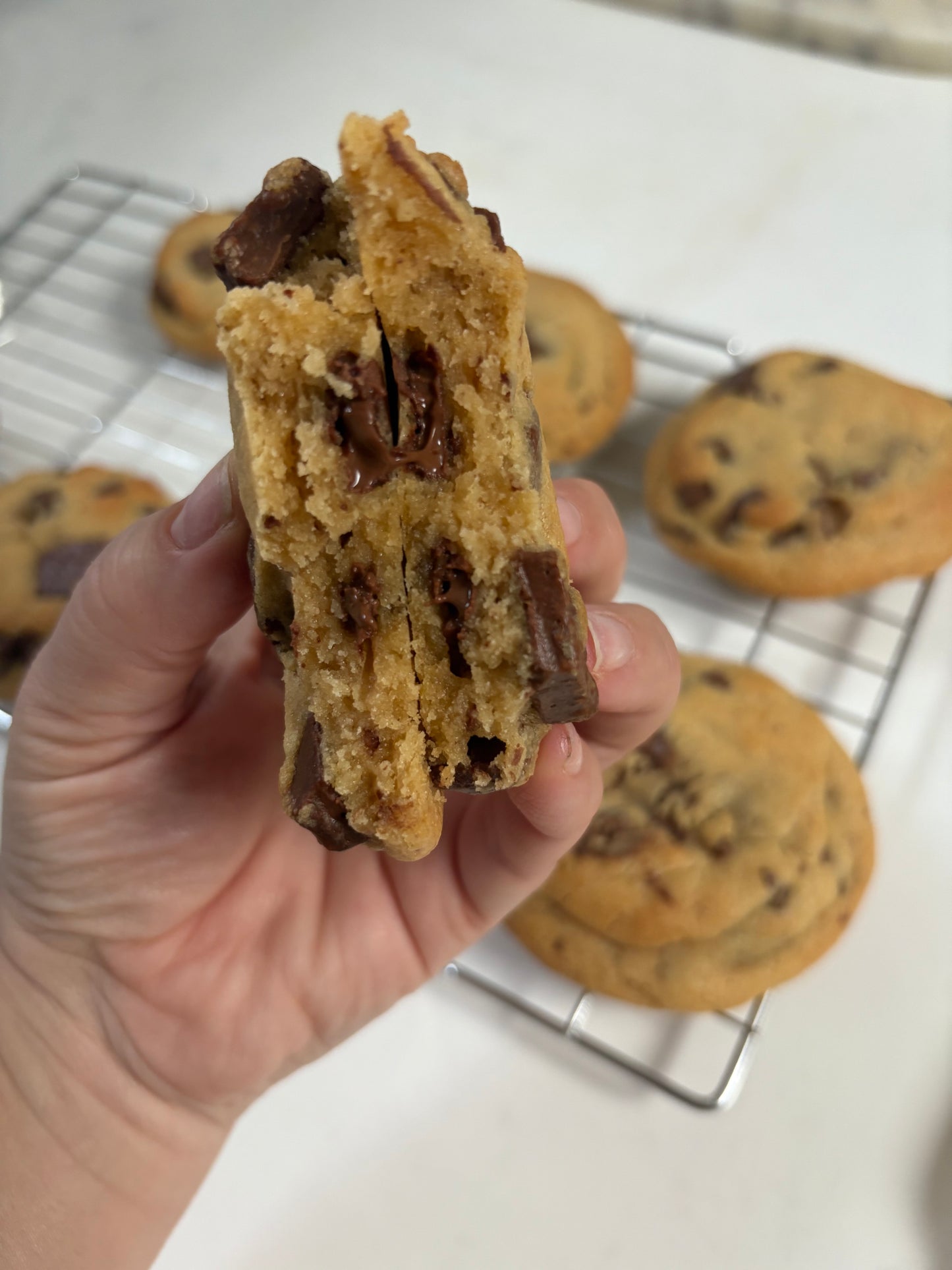 Milk Choc Chunk Cookie